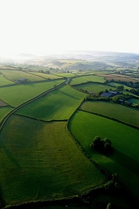 Meadows in villages UK